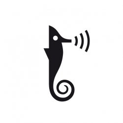 Hippocampe Song