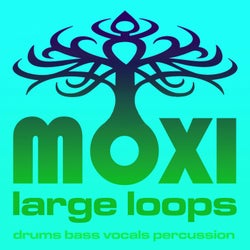 Moxi Large Loops Volume 4