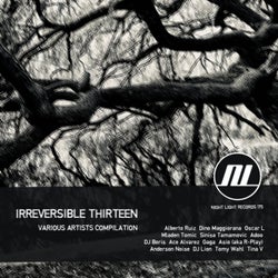 Irreversible Thirteen