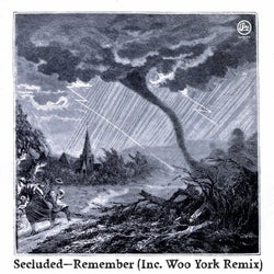Remember (Inc Woo York Remix)