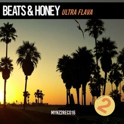Ultra Flava - House Mix