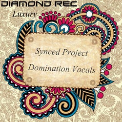Domination Vocals - Single