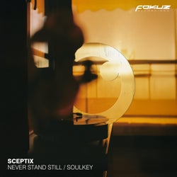 Never Stand Still / Soulkey
