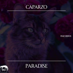 Paradise