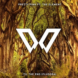 Til the End [Fludora] (Extended Mix)
