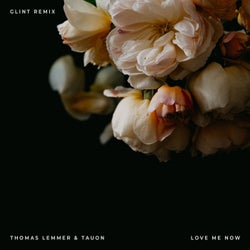 Love Me Now (Glint Remix)