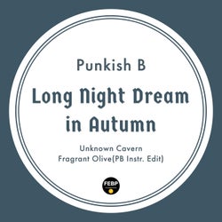 Long Night Dream in Autumn