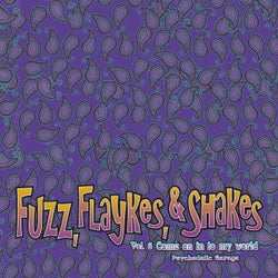 Fuzz, Flaykes & Shakes, vol. 6