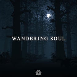 Wandering Soul