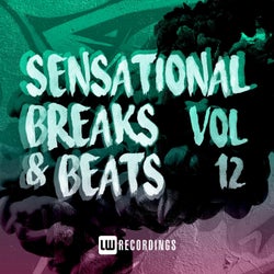 Sensational Breaks & Beats, Vol. 12