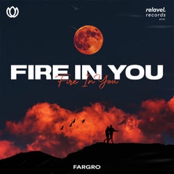 Fire In You