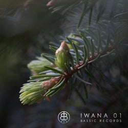 IWANA 01