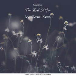 The Best of You Remixed (Liquid Dream Remix)