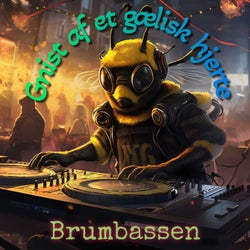 Gnist af et gælisk hjerte