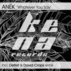 Anek - Whatever You Say