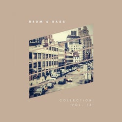 Sliver Recordings: Drum & Bass, Collection, Vol. 14