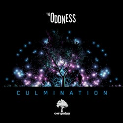 Culmination
