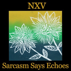 Sarcasm Says Echoes