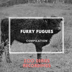 Furry Fugues