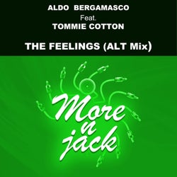 The Feelings (feat. Tommie Cotton) [ALT MIX]