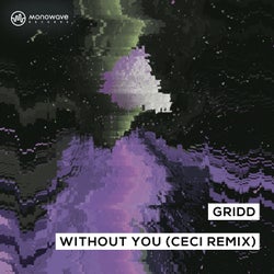 Without You (Ceci Extended Mix)