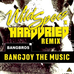 Bangjoy the Music (Wild Specs X Harddried Remix)