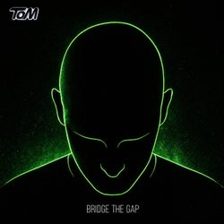 Bridge The Gap