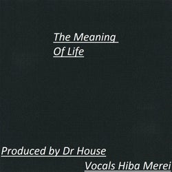 The Meaning Of Life