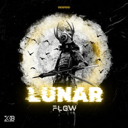 Lunar Flow