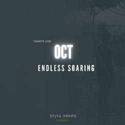 Endless Soaring - Oct 2021