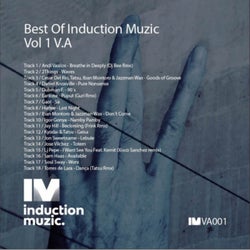 Best Of Induction Muzic, Vol. 1 V.A