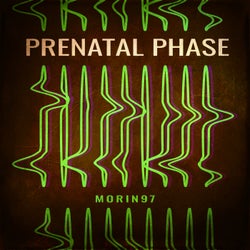 Prenatal Phase