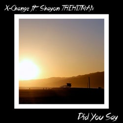Did You Say Feat. Shayon THEHITMAN