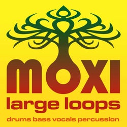Moxi Large Loops Volume 7