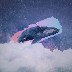 Whale Galaxy