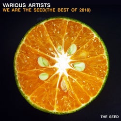 We Are The Seed (the best of 2018)