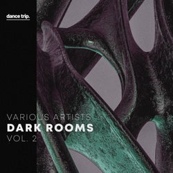 Dark Rooms, Vol. 2
