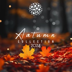 Autumn Collection 2024