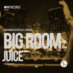 Big Room Juice (Big Room Essentials Sounds)