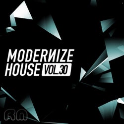 Modernize House Vol. 30