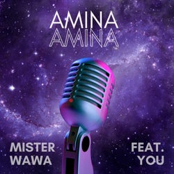 Amina Amina (feat. You)