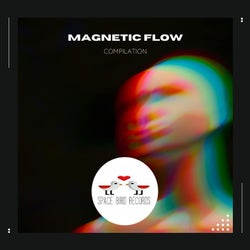 Magnetic Flow