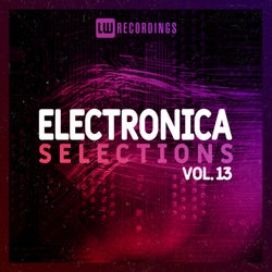 Electronica Selections, Vol. 13
