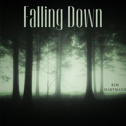 Falling Down