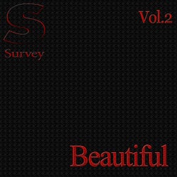 Beautiful, Vol.2