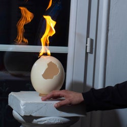 Soleil Mort