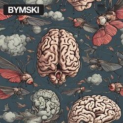 Fly in My Brain / Reverse Love