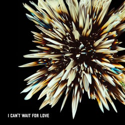 I Can't Wait For Love