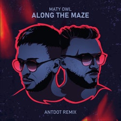 Along the Maze (Antdot Remix)