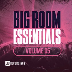 Big Room Essentials, Vol. 05
